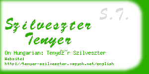 szilveszter tenyer business card